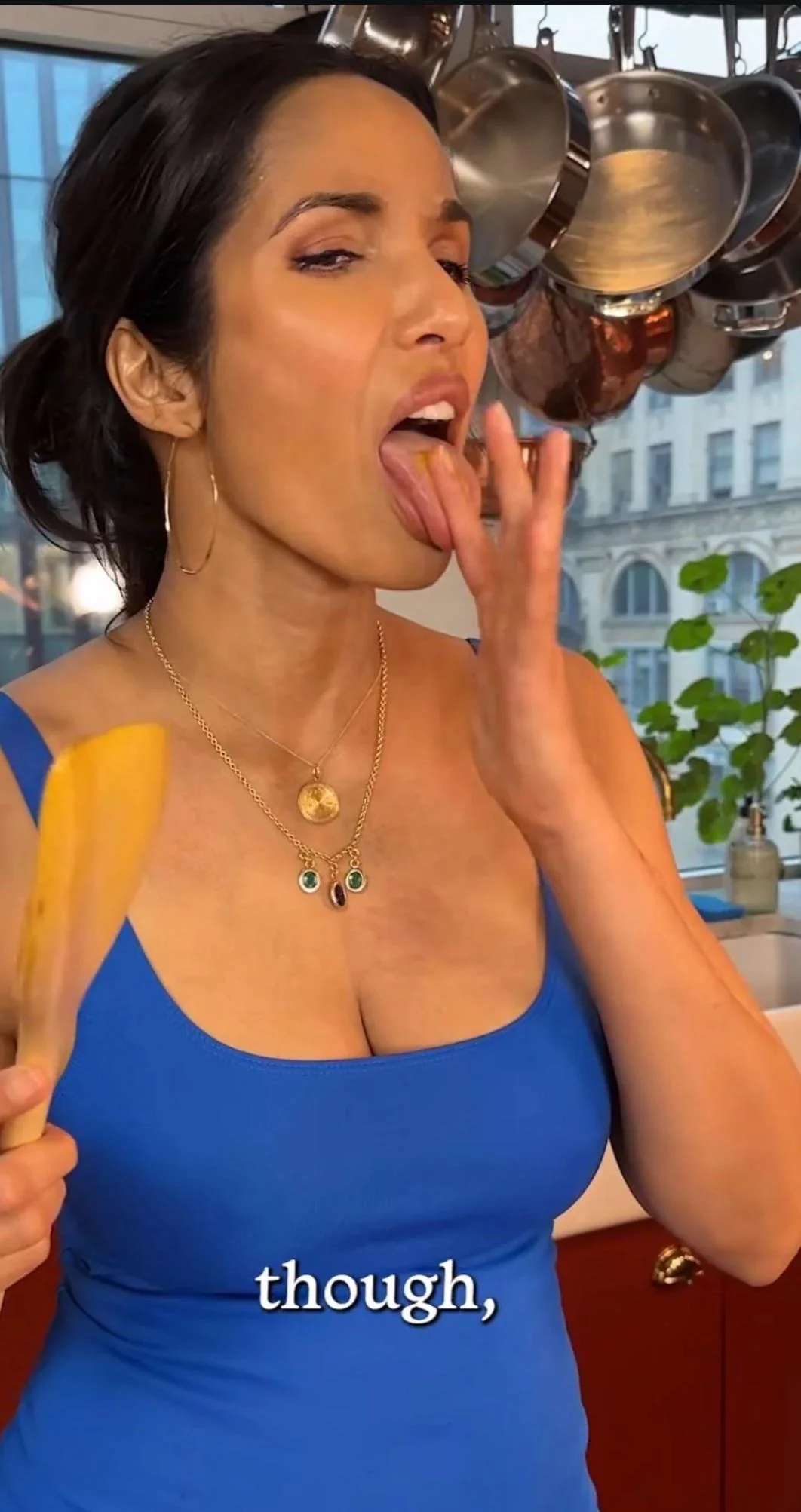 Padma Lakshmi, 54 picture 1 of 1