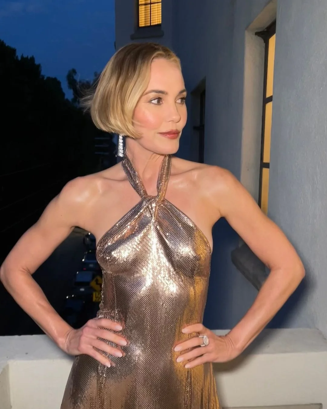 Leslie Bibb, 49 picture 1 of 10