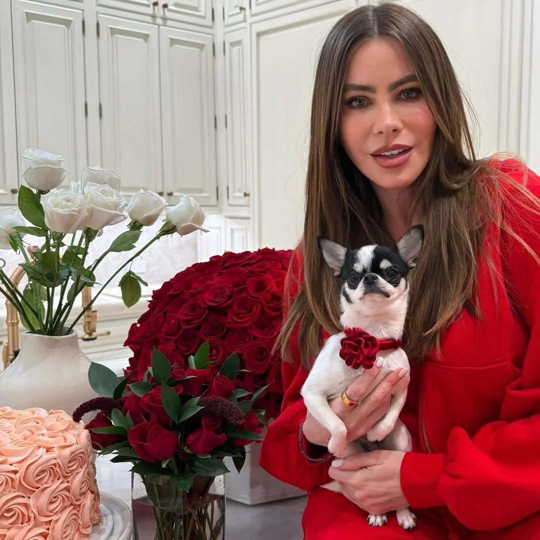 Sofia Vergara, 52 picture 1 of 1