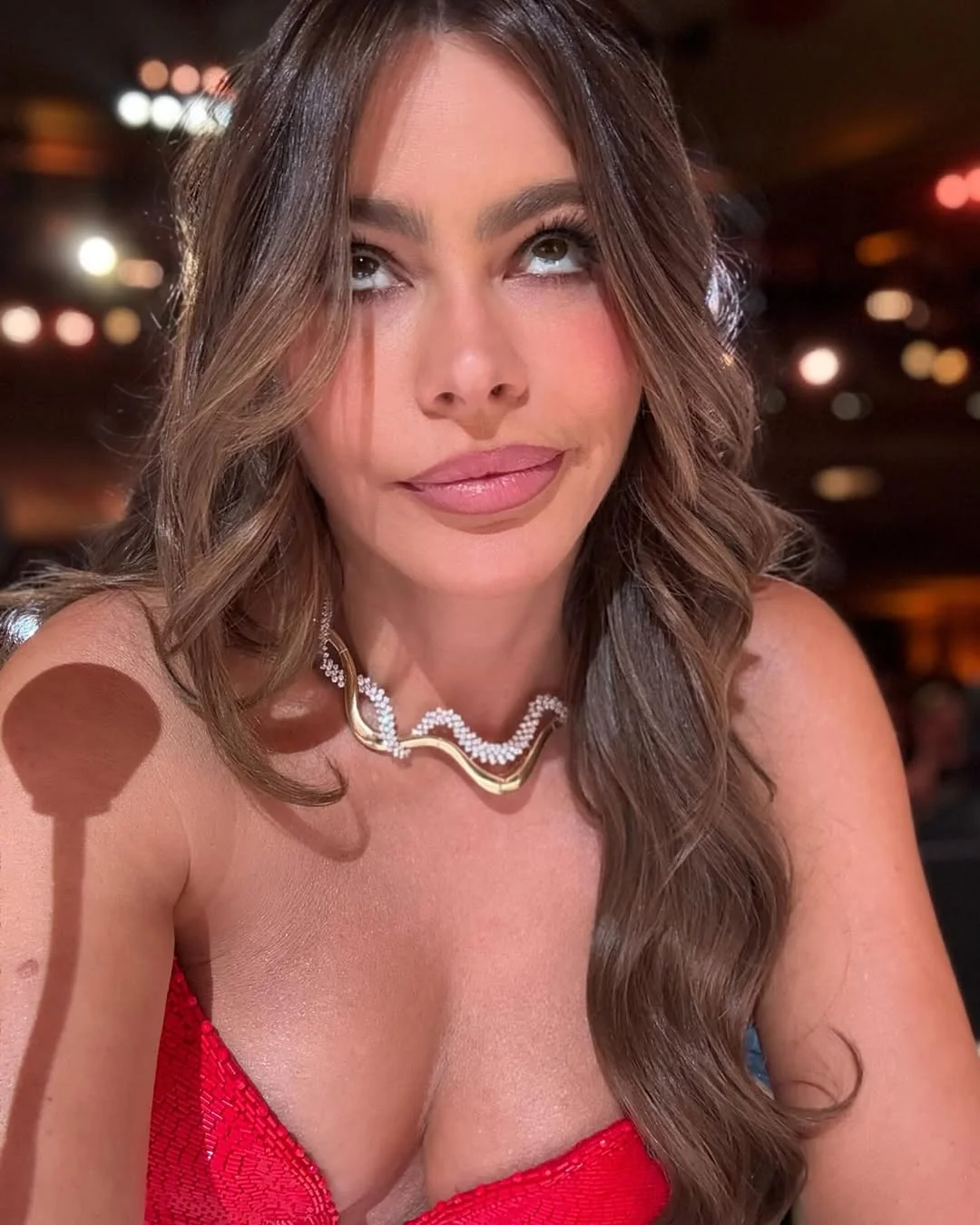 Sofia Vergara, 52 picture 1 of 4