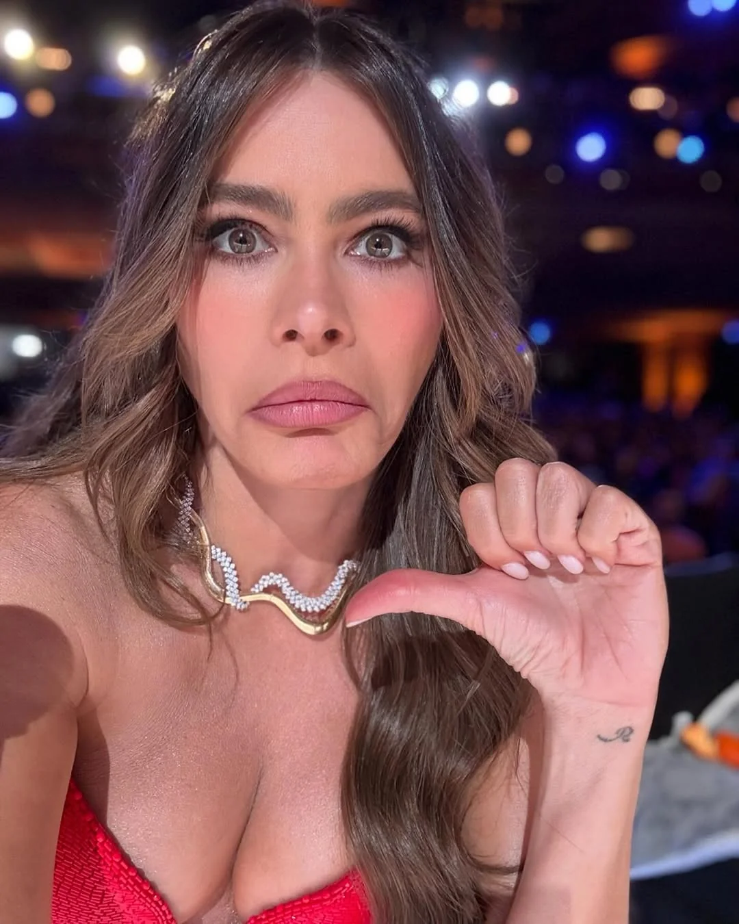 Sofia Vergara, 52 picture 3 of 4