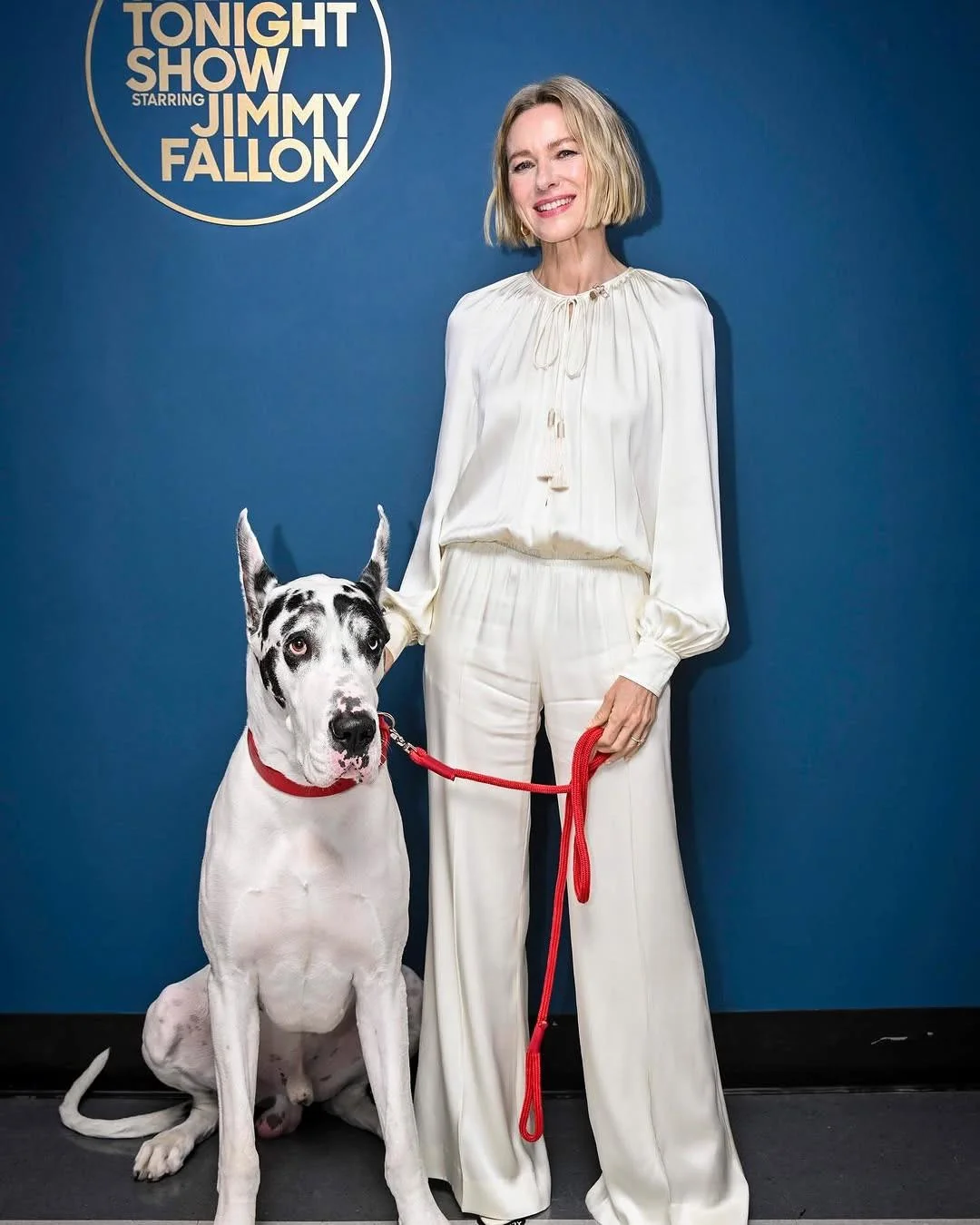 Naomi Watts, 56 picture 5 of 5