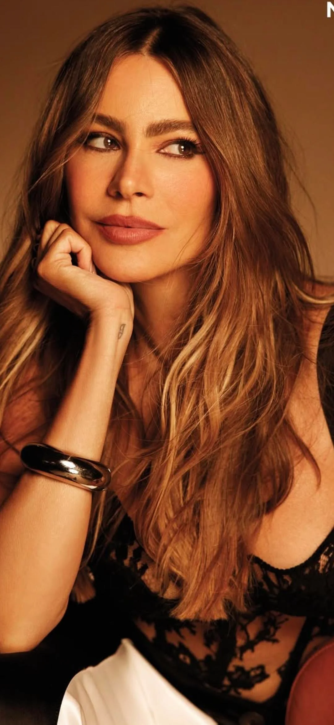 Sofía Vergara, 52 picture 1 of 2