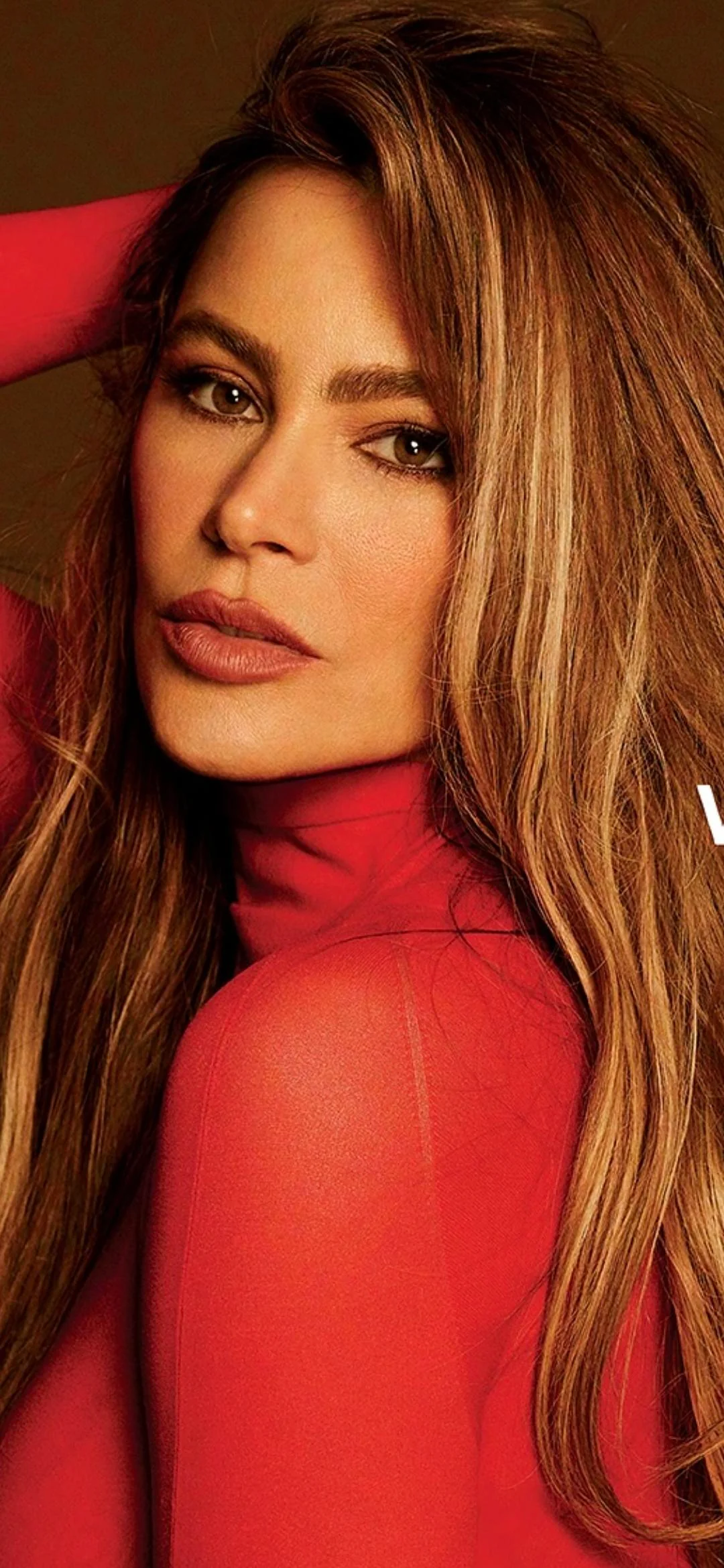 Sofía Vergara, 52 picture 2 of 2