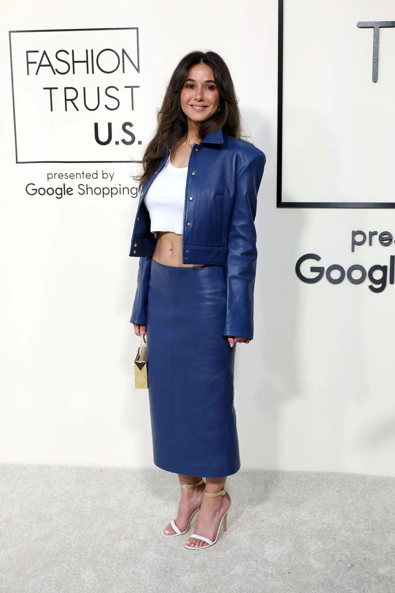 Emmanuelle Chriqui, 49 picture 3 of 6