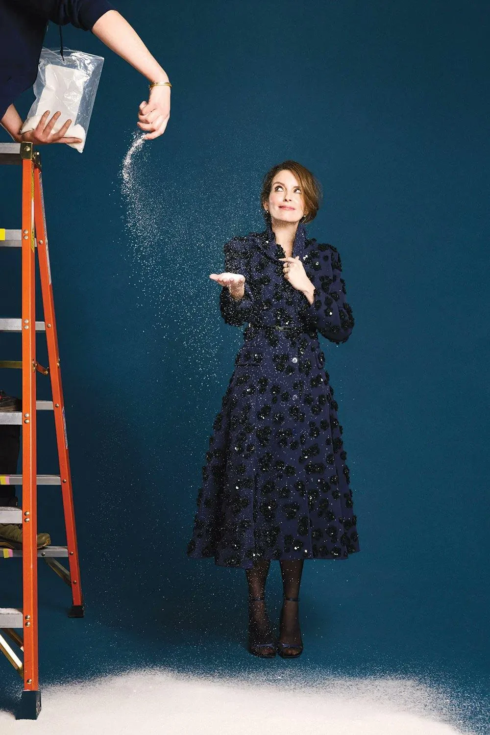 Tina Fey, 54 picture 1 of 4