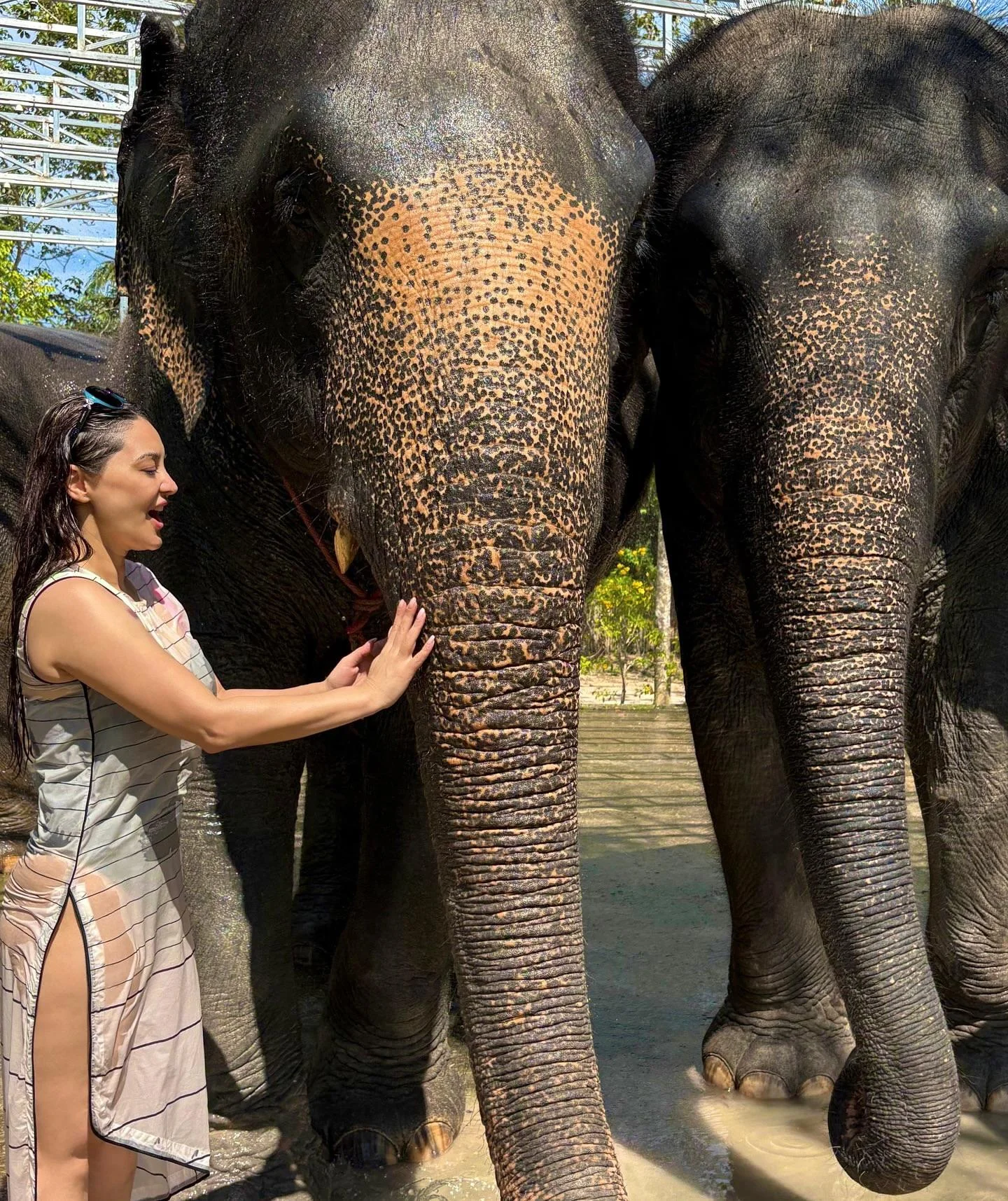 Minissha Lamba, 40 picture 2 of 2
