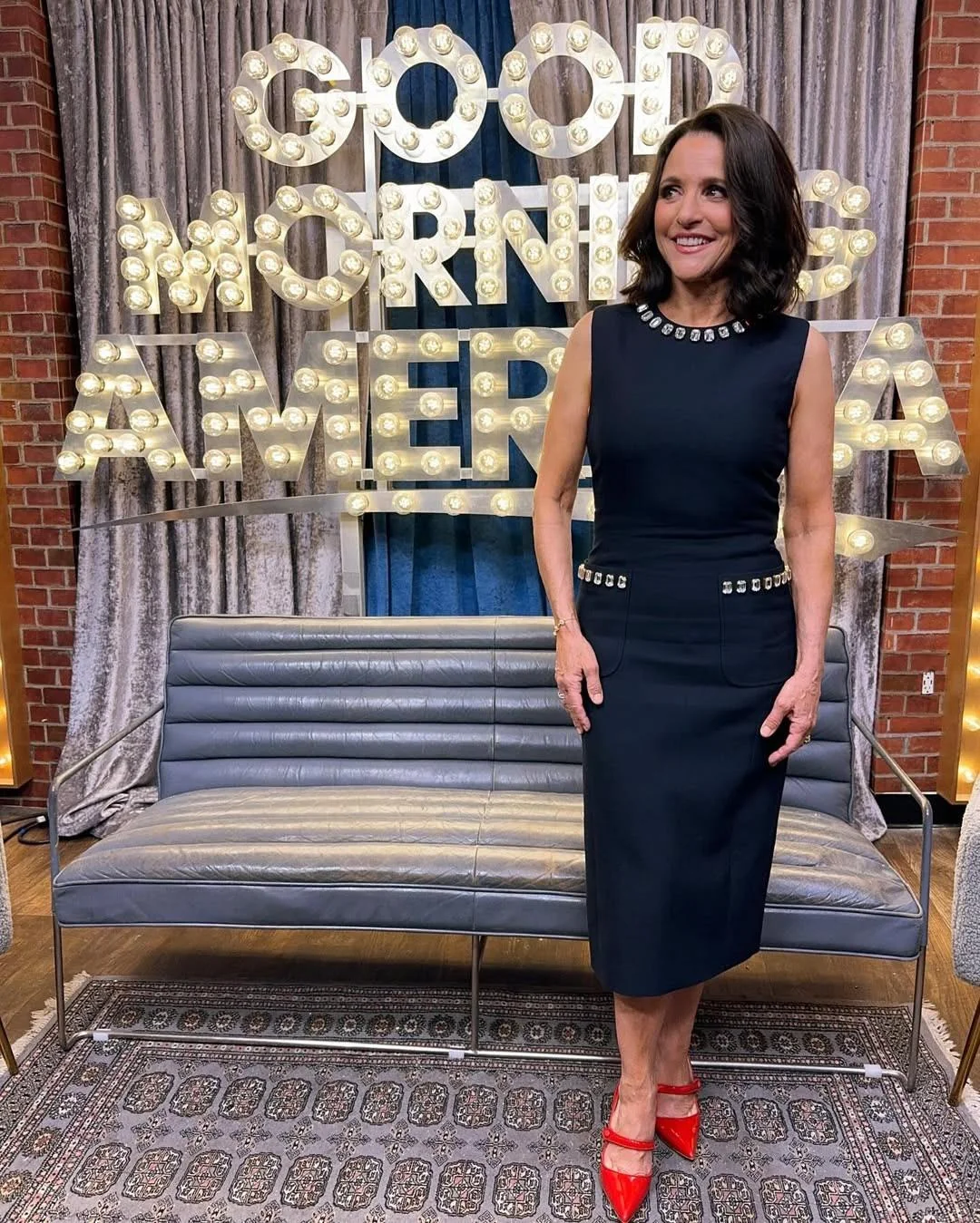 Julia Louis-Dreyfus, 64 picture 7 of 11