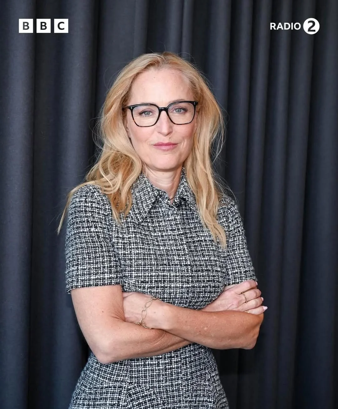 Gillian Anderson, 56 picture 3 of 4