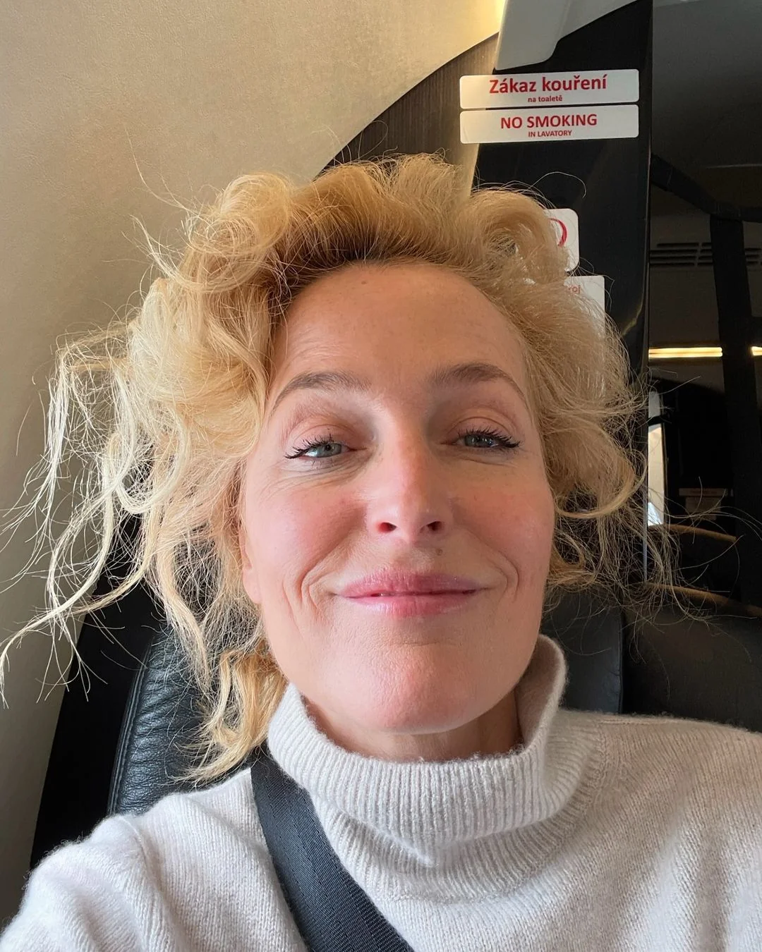 Gillian Anderson, 56 picture 1 of 2