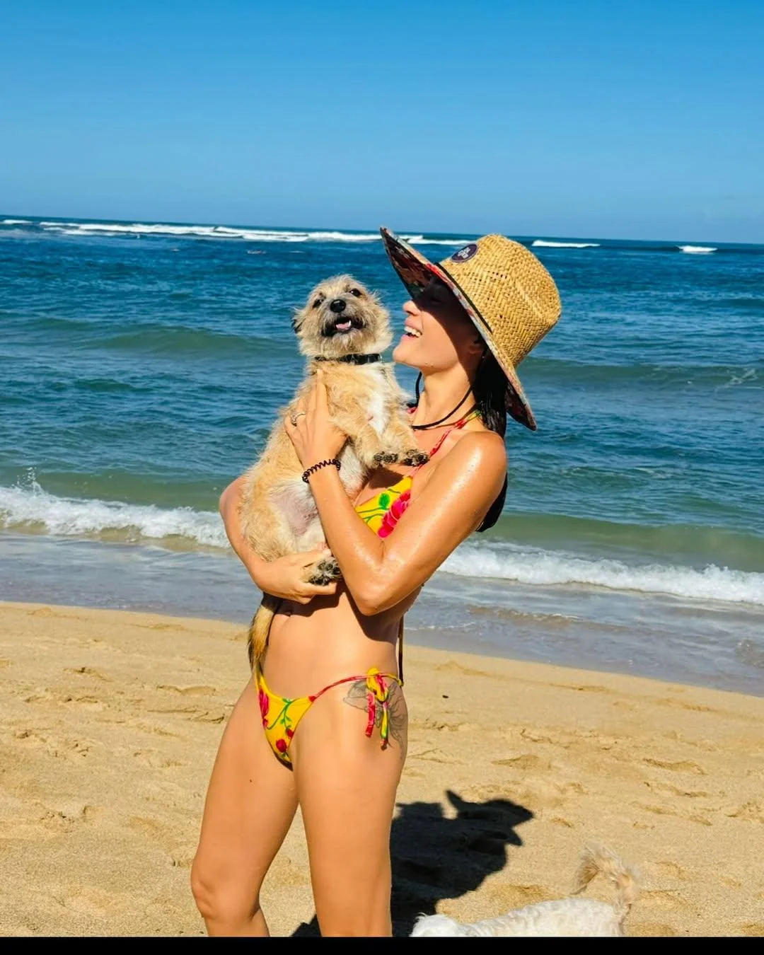 Maggie Q, 45 picture 1 of 1