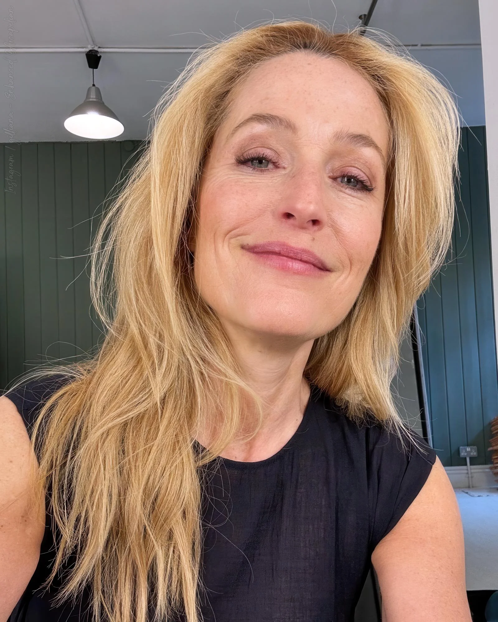Gillian Anderson, 56 (Instagram) picture 1 of 1