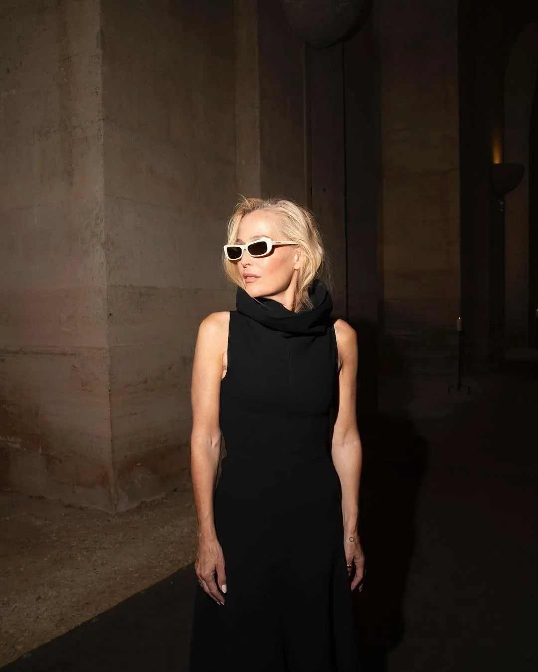 Gillian Anderson, 56 picture 5 of 6