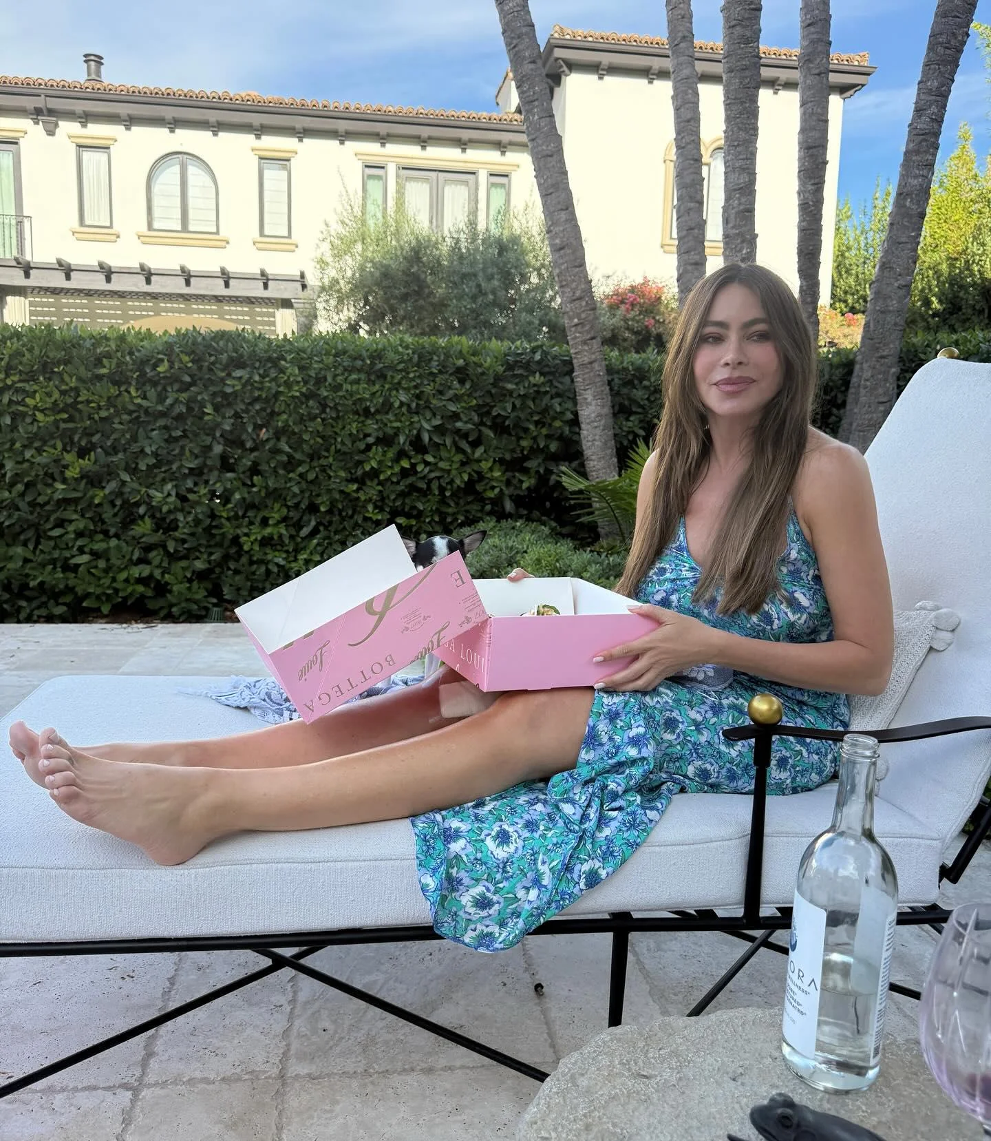 Sofia Vergara, 53 picture 1 of 1