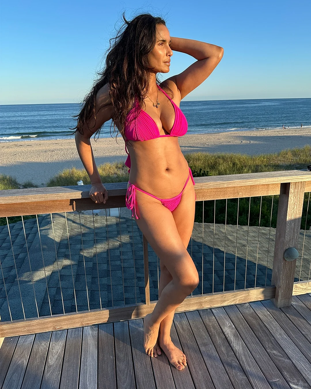 Padma Lakshmi, 54 picture 2 of 2