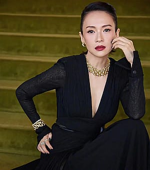 Zhang Ziyi, 46'