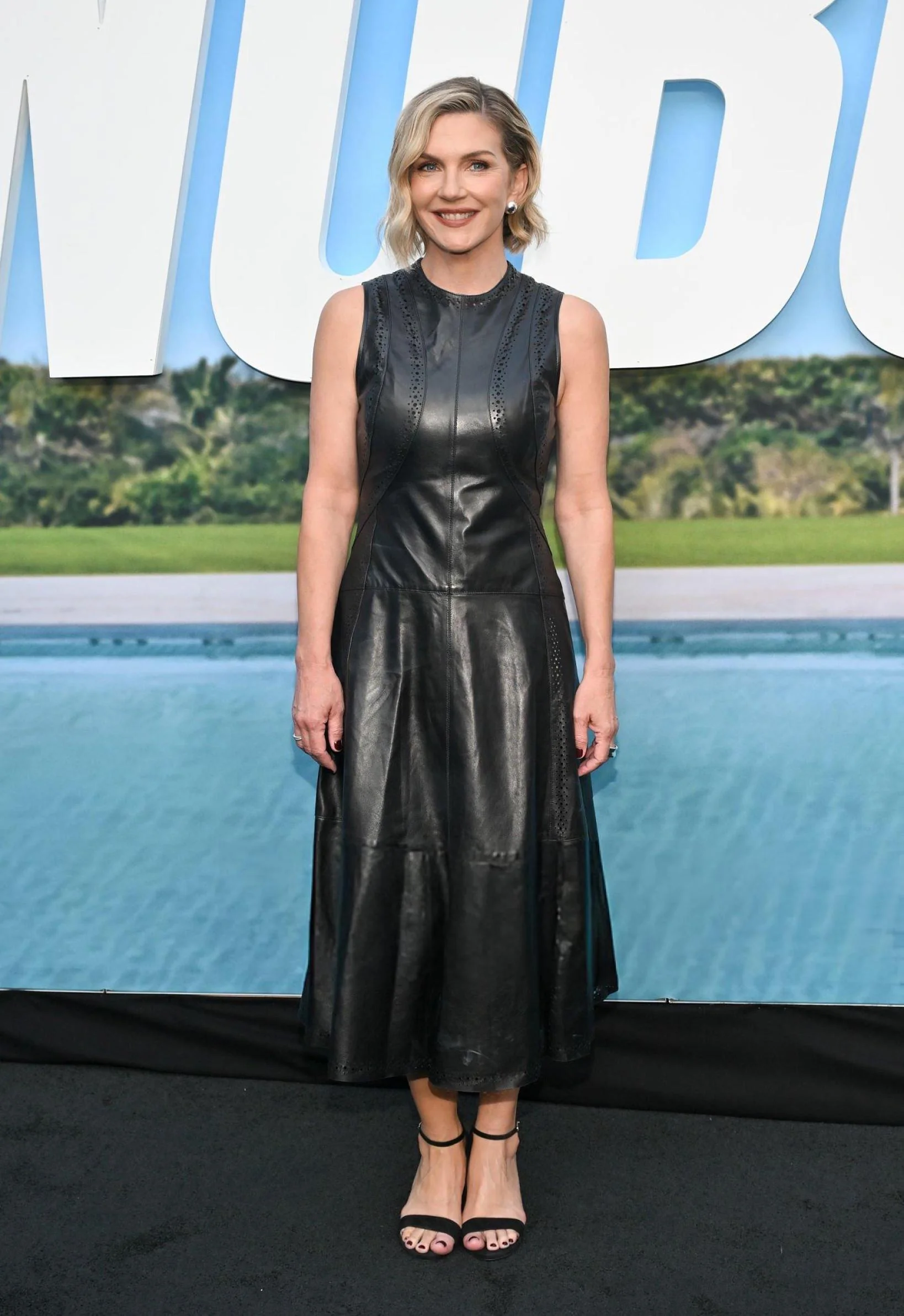 Rhea Seehorn, 53 picture 1 of 1