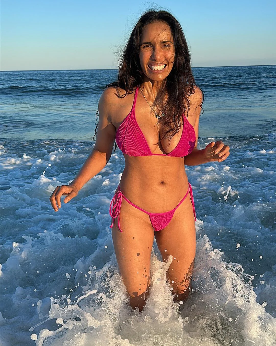 Padma Lakshmi, 55 picture 1 of 1