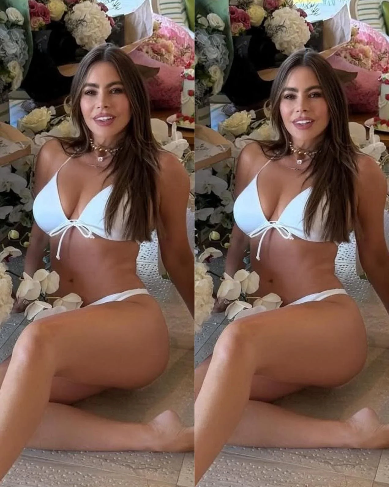 Sofia Vergara, 54 picture 2 of 2