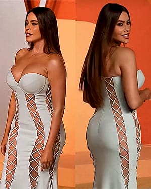 Sofia Vergara, 53'