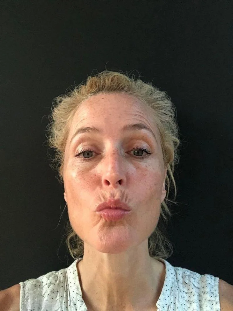 Gillian Anderson, 55 picture 2 of 2