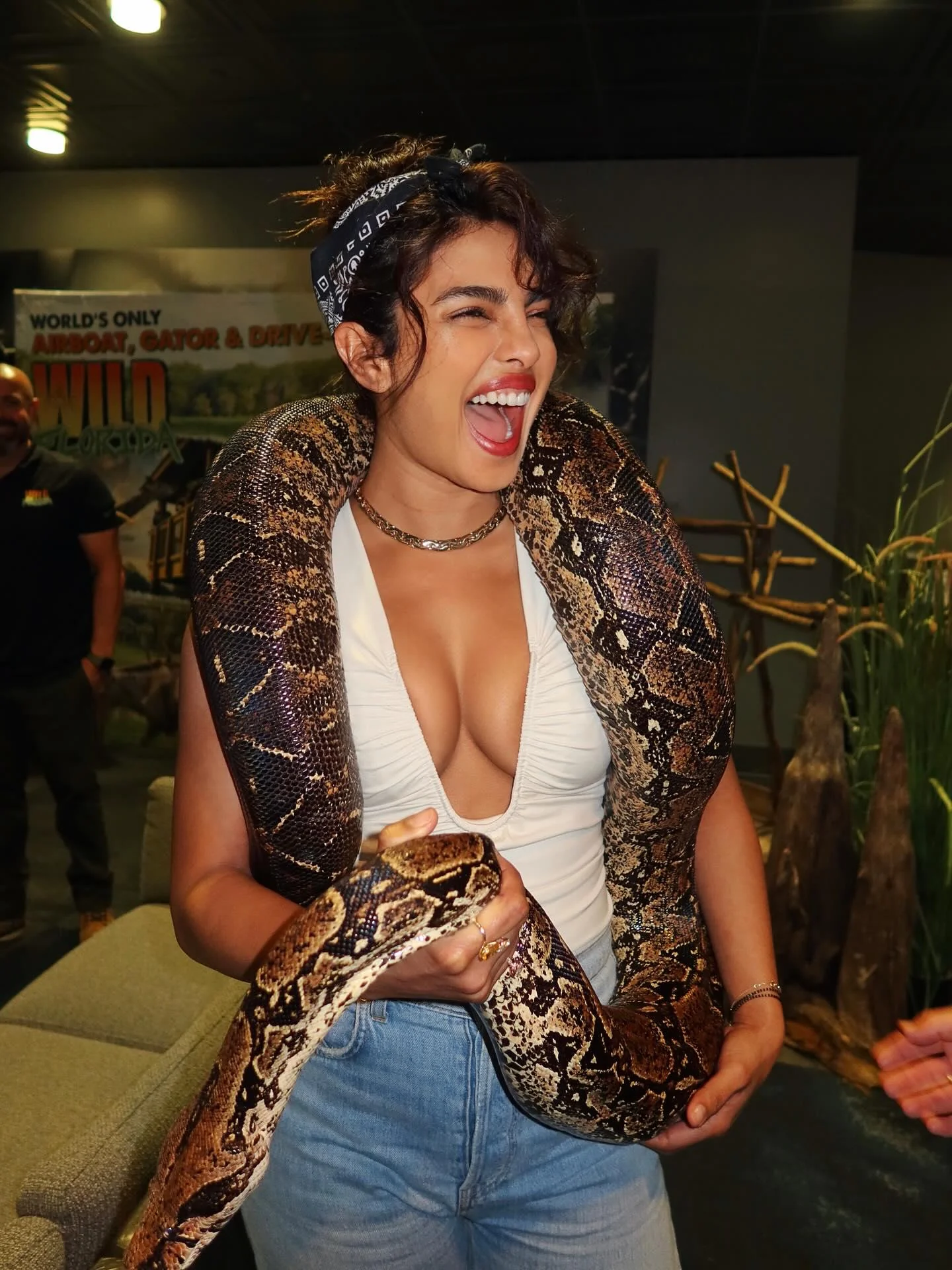 Priyanka Chopra, 43 picture 1 of 1