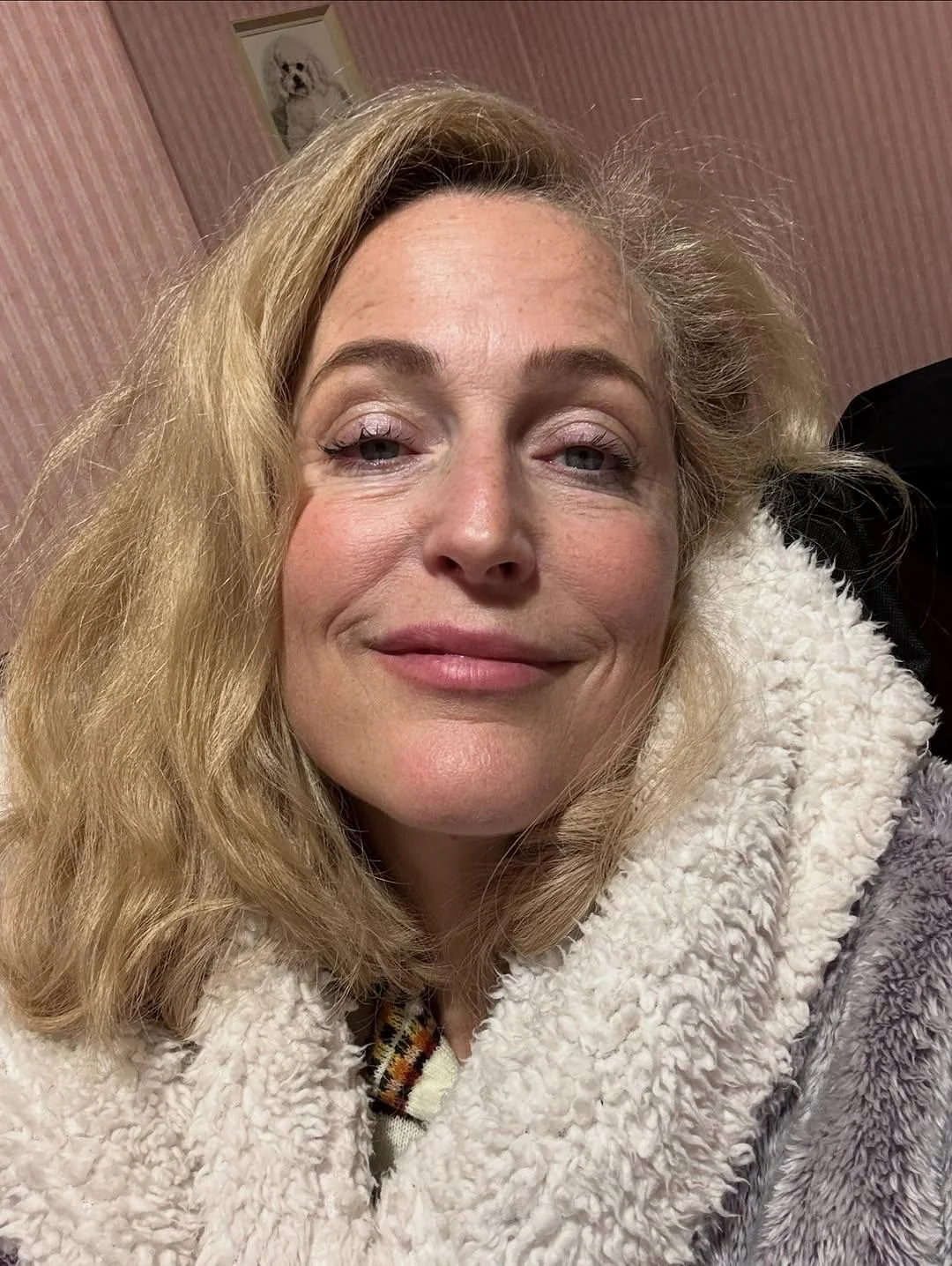 Gillian Anderson, 57 picture 1 of 1