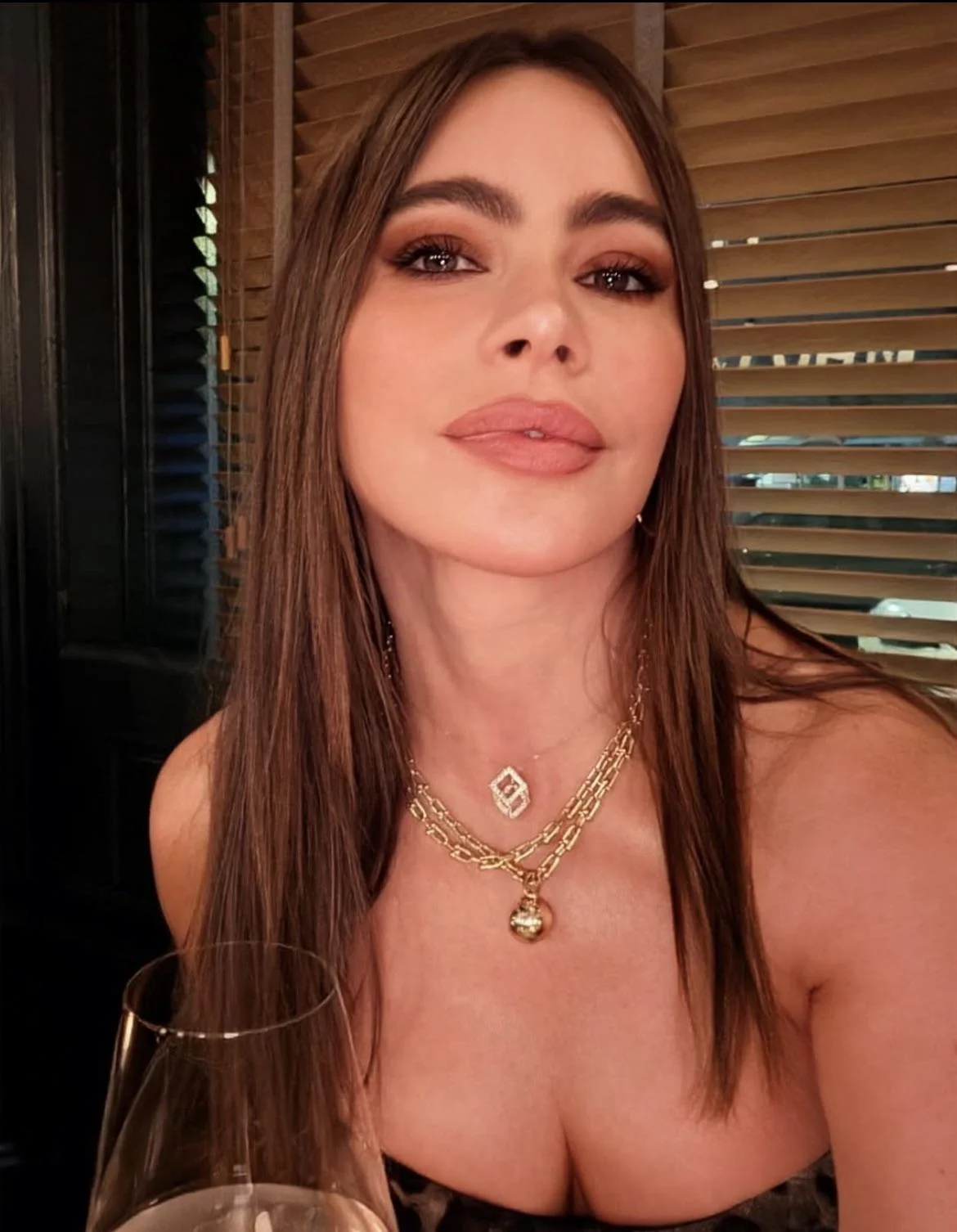 Sofia Vergara, 53 picture 1 of 1