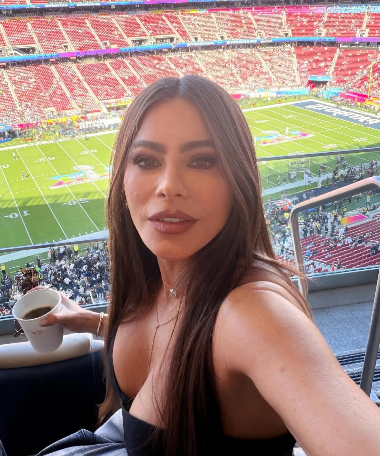 Sofia Vergara, 53 picture 1 of 1