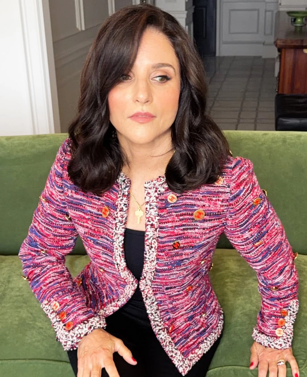 Julia Louis-Dreyfus, 65 picture 1 of 4