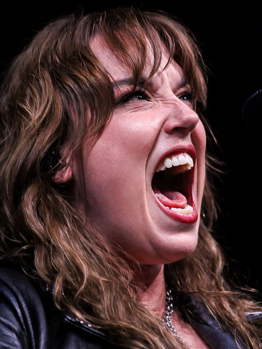 Lzzy Hale, 42 picture 3 of 7
