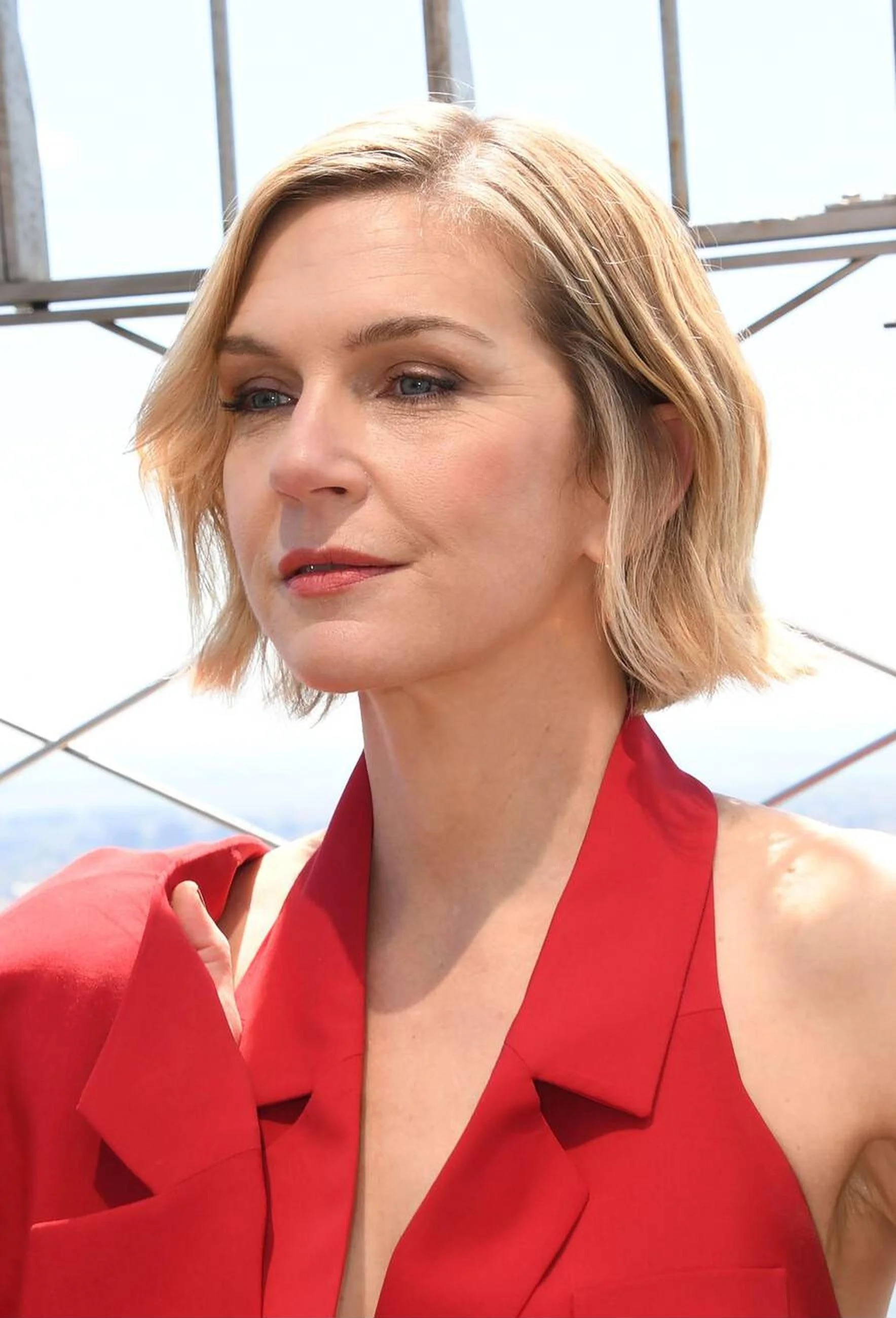 Rhea Seehorn, 53 picture 2 of 4