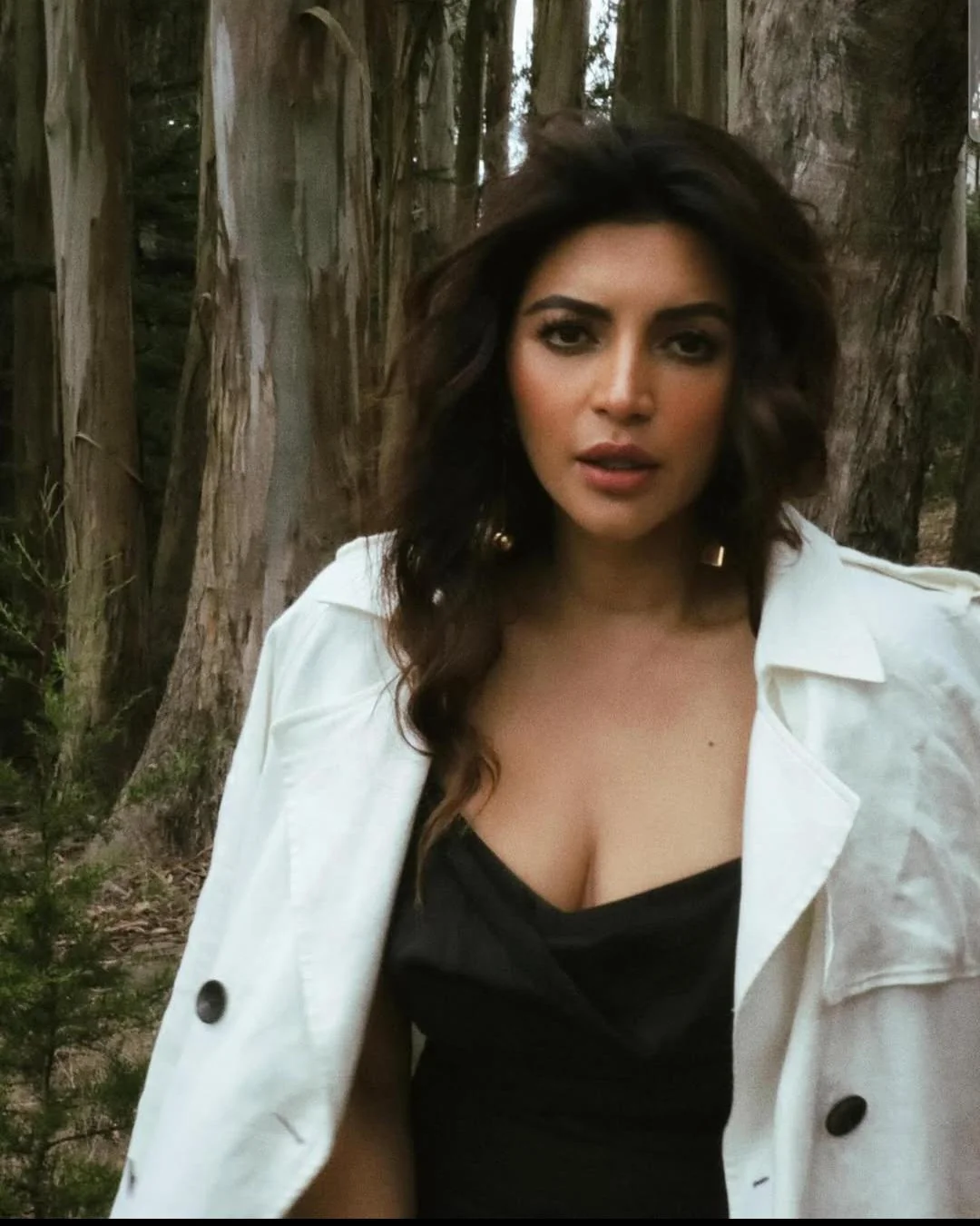 Shama Sikandar, 43 picture 5 of 6