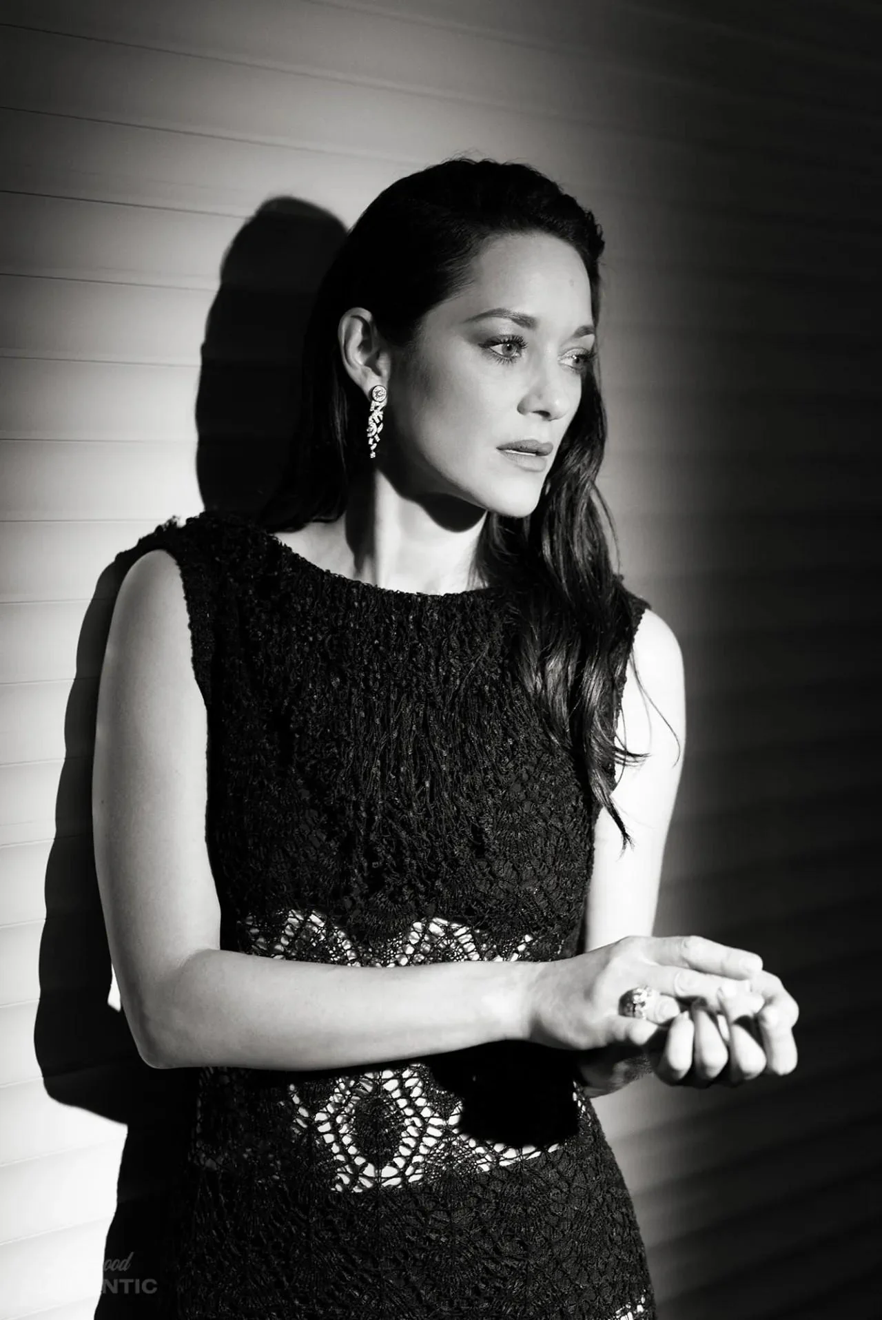 Marion Cotillard, 50 picture 1 of 1