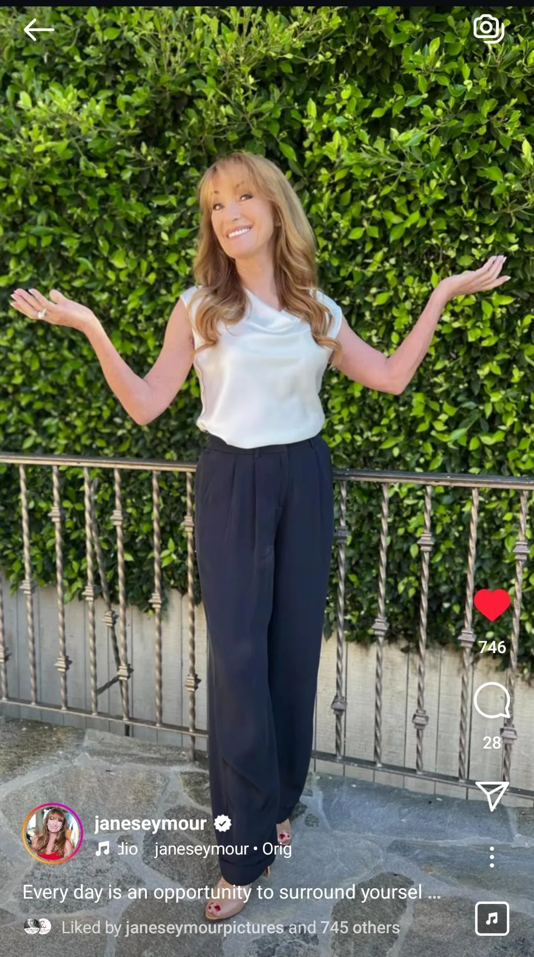 Jane Seymour, 73 picture 1 of 6
