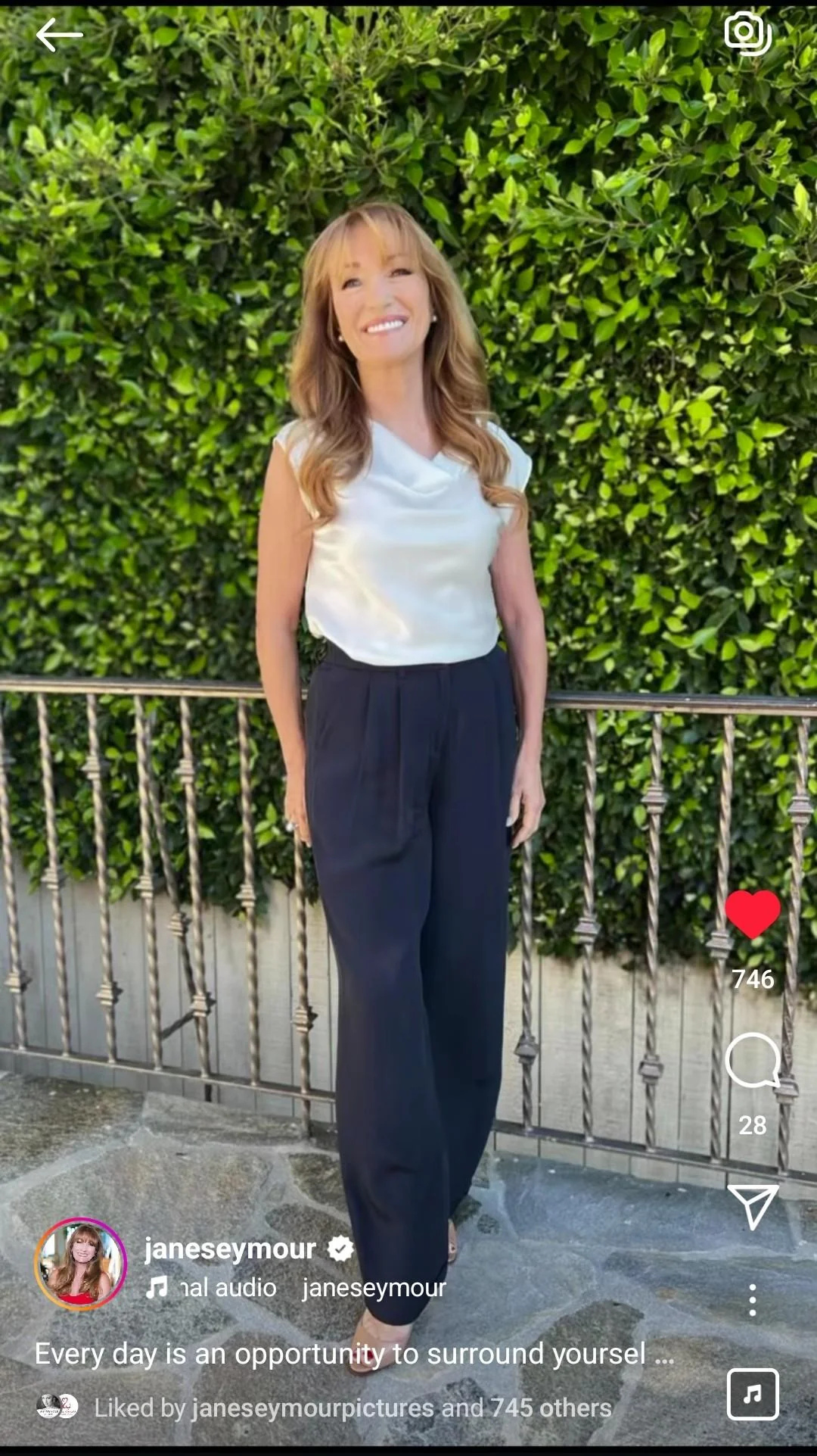 Jane Seymour, 73 picture 3 of 6