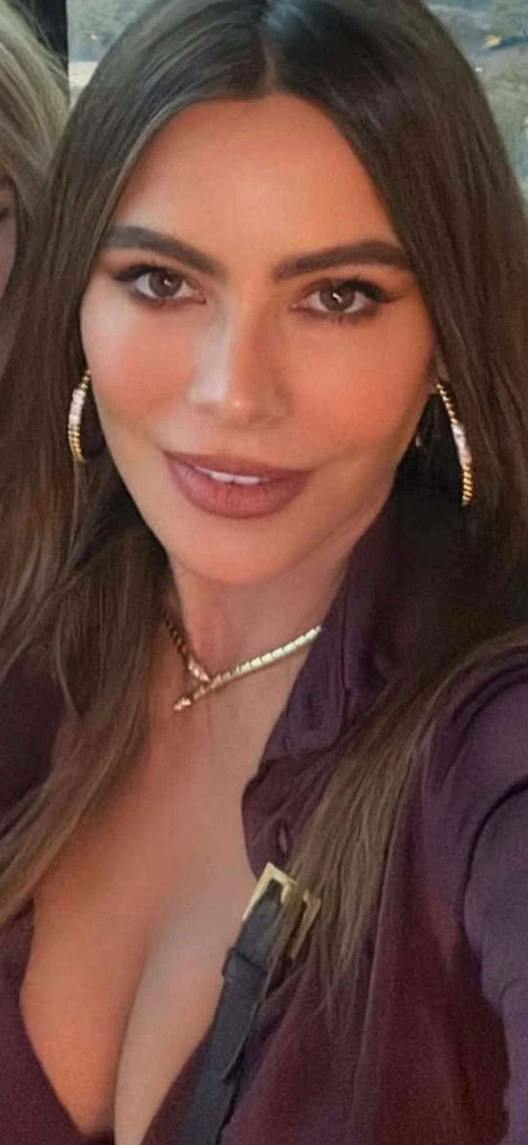 Sofía Vergara, 52 picture 2 of 2