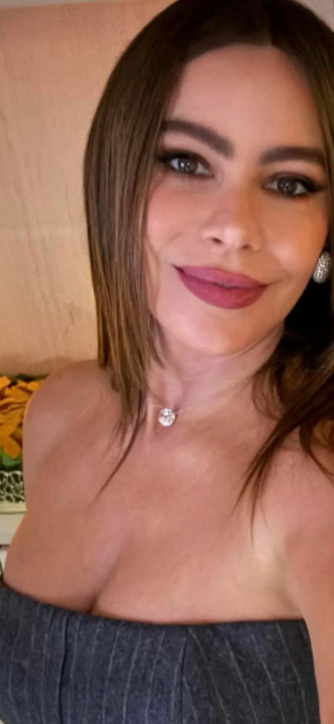 Sofía Vergara, 52 picture 2 of 2
