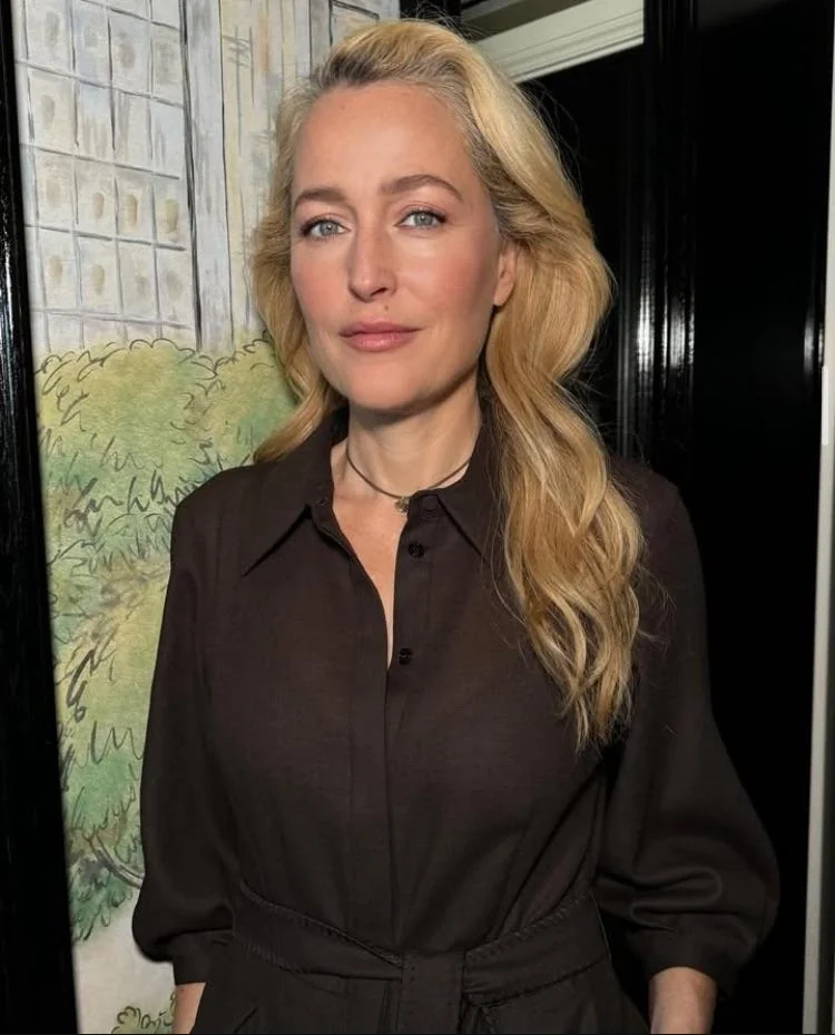Gillian Anderson, 56 picture 3 of 4