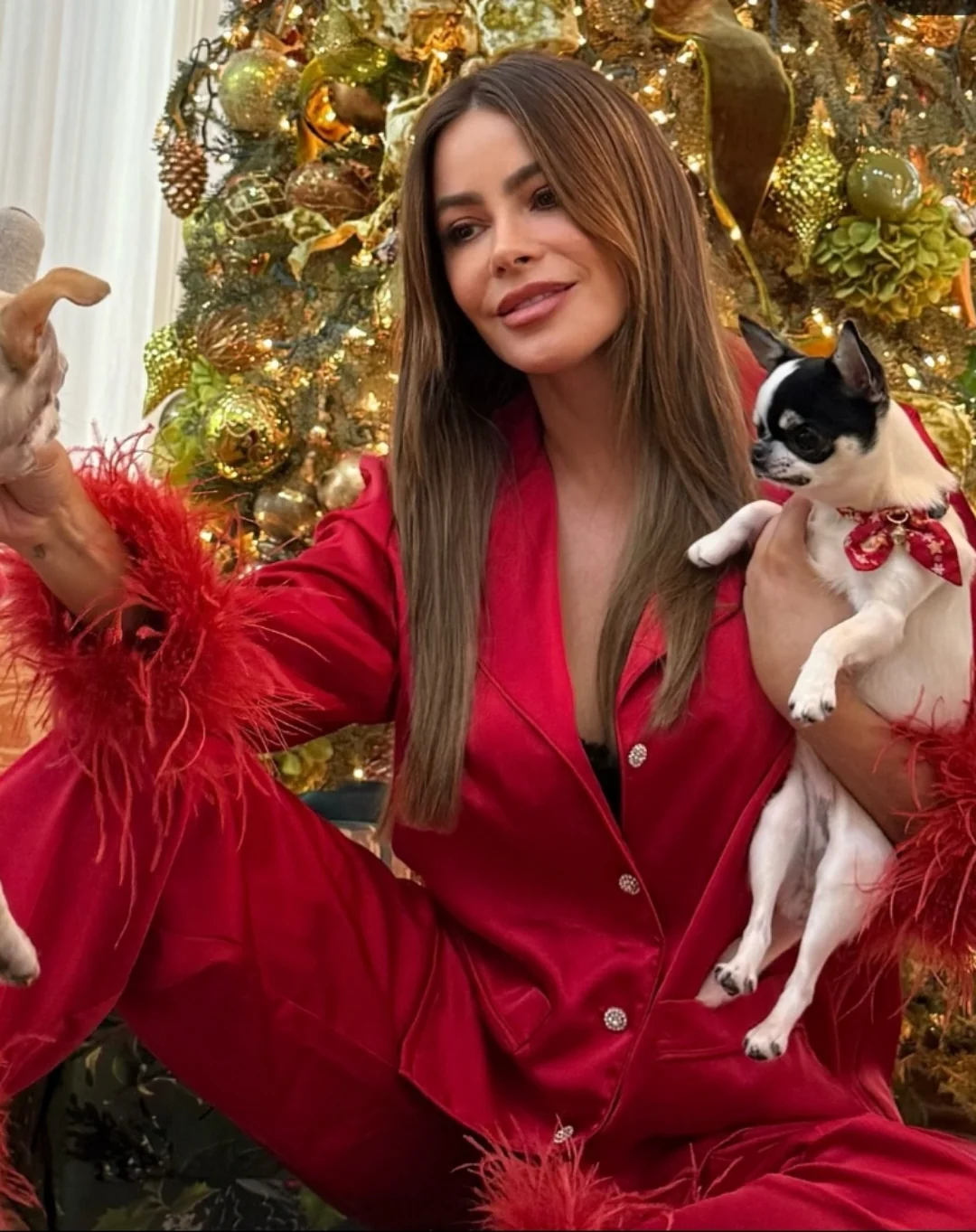 Sofia vergara, 52 picture 2 of 2