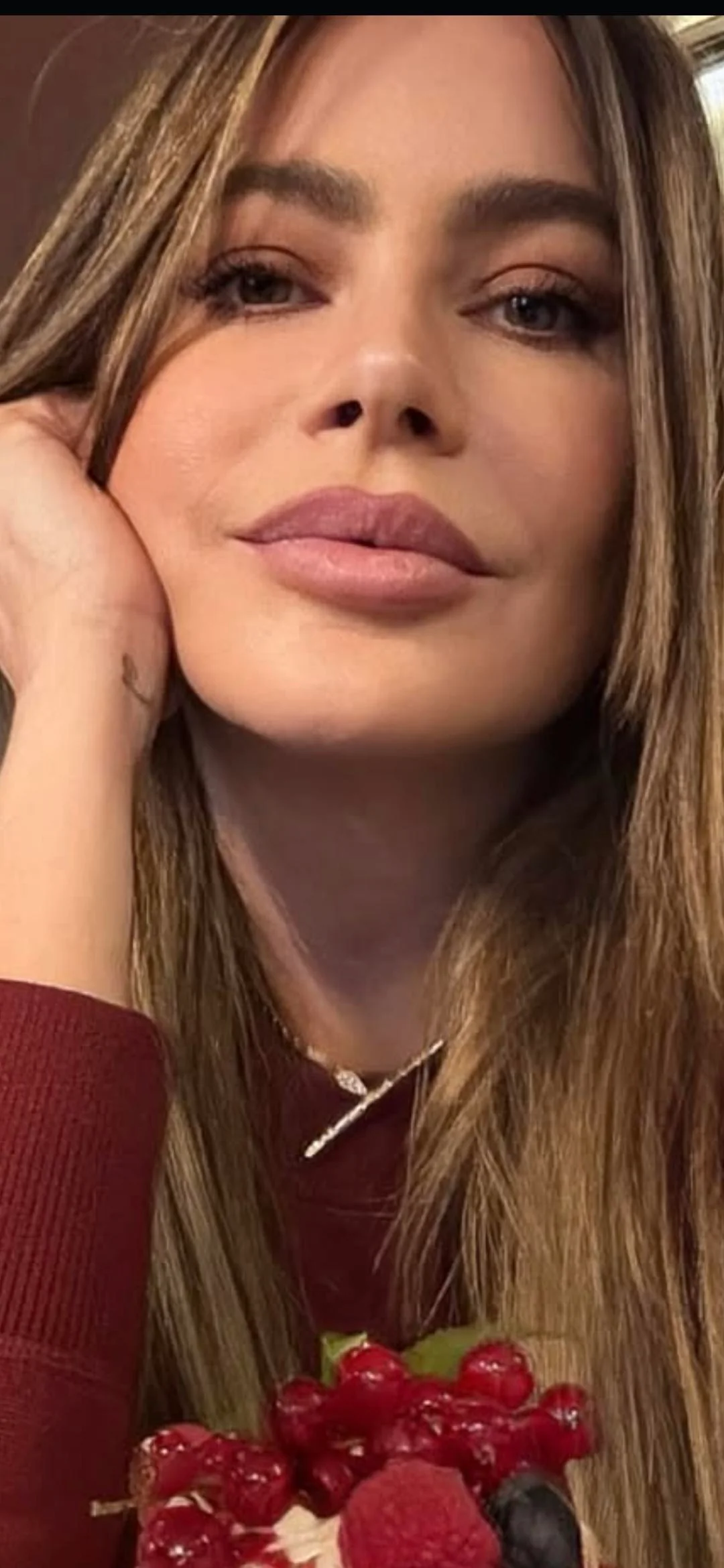 Sofía Vergara, 52 picture 2 of 2